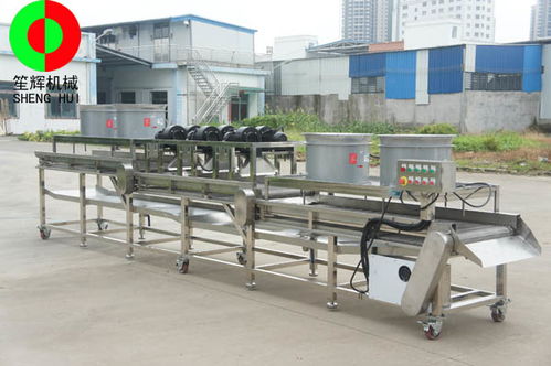 博乐砂糖橘速冻生产线与草石蚕生产线性价比及纸板复合生产线选购指南